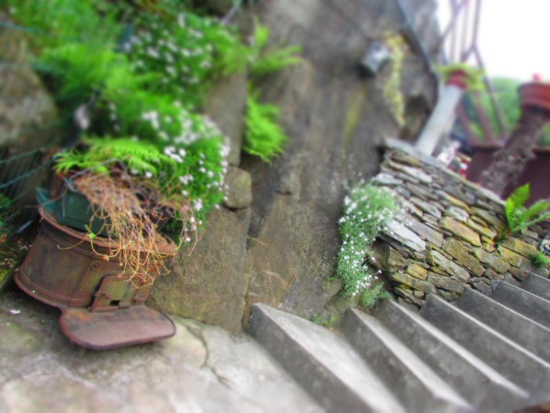 Casa Vacanza Pizzo Camino Calasca-Castiglione Dış mekan fotoğraf